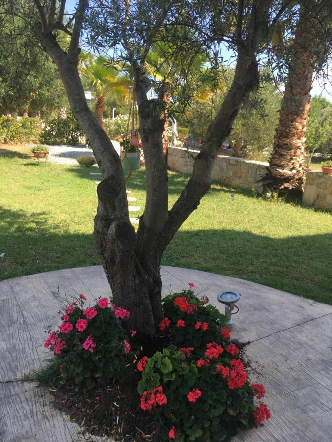 Villa Evita , Athytos Wonderful ,63M2,A/C Afytos Esterno foto